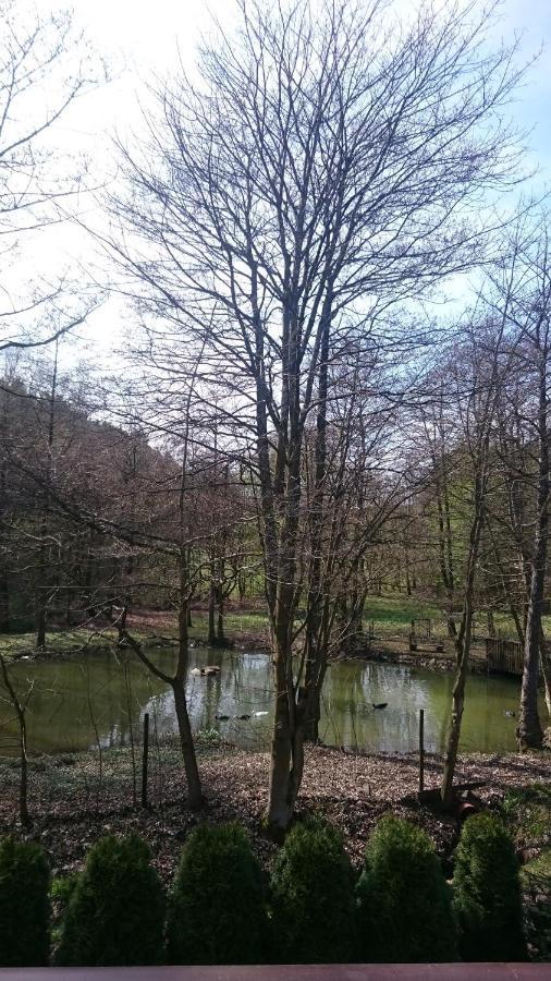 Ferienwohnung Am Ententeich Bad Marienberg Kültér fotó